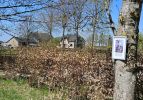 PICTURES/Belgium - Battle of the Bulge - Northern Shoulder Tour/t_Crossroads-Harry Stemple2.jpg